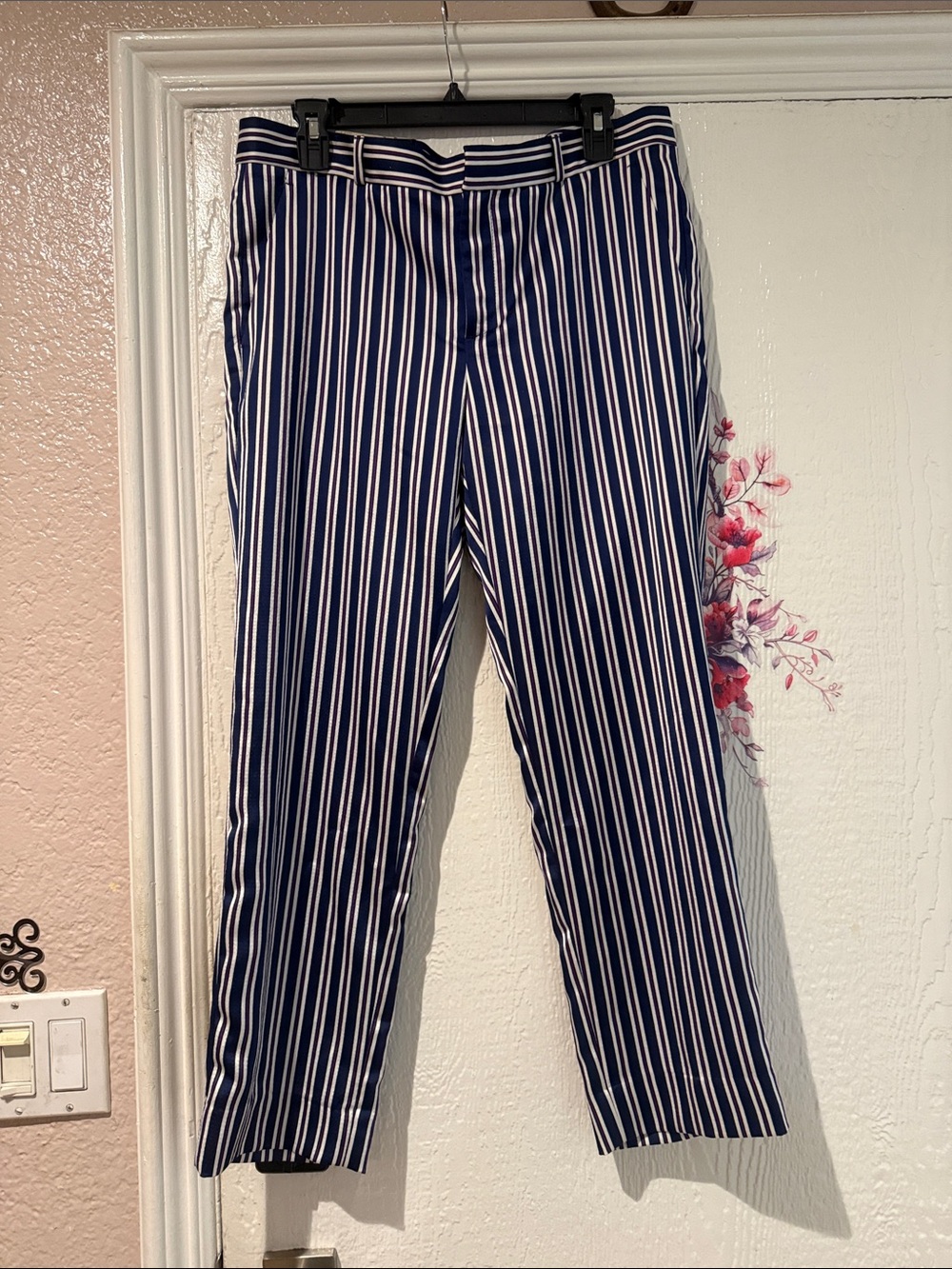 Banana Republic Navy and White Striped Chinos